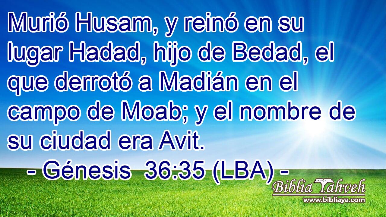 Murió Husam, y reinó en su lugar Hadad, hijo de Bedad, el que derrotó a Madián en el campo de Moab; y el nombre de su ciudad era Avit.