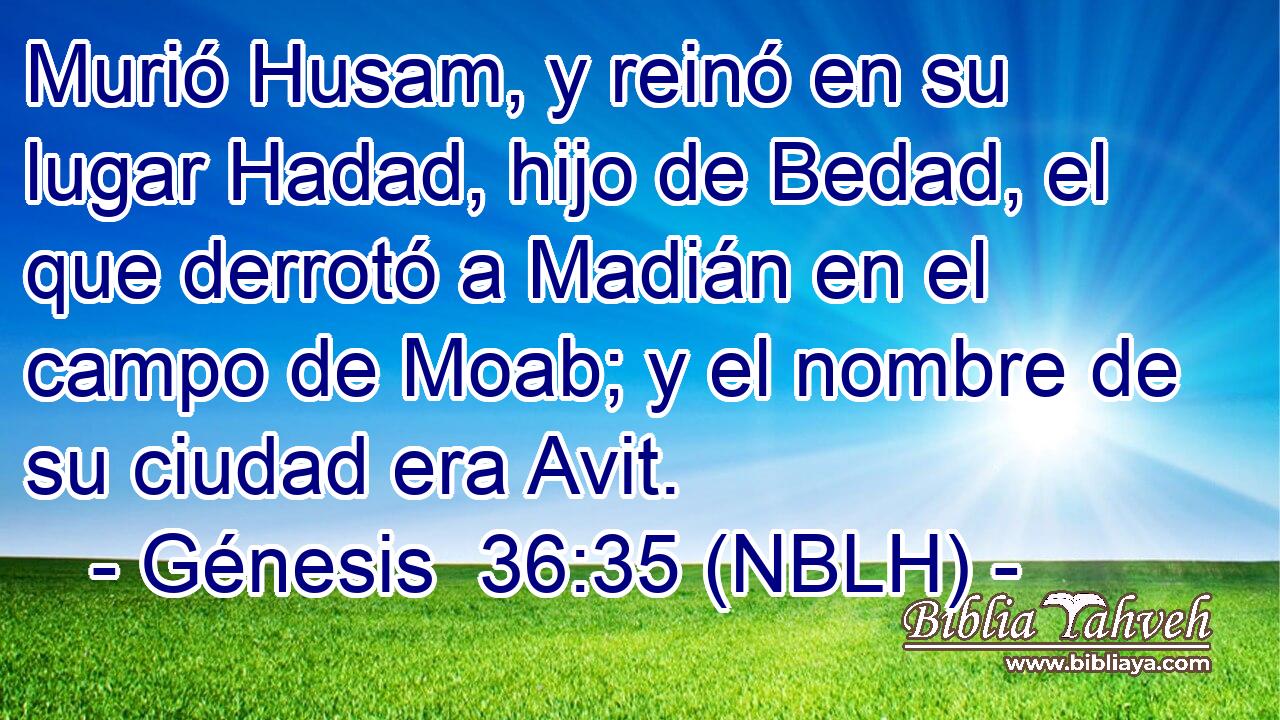  Murió Husam, y reinó en su lugar Hadad, hijo de Bedad, el que derrotó a Madián en el campo de Moab; y el nombre de su ciudad era Avit. 