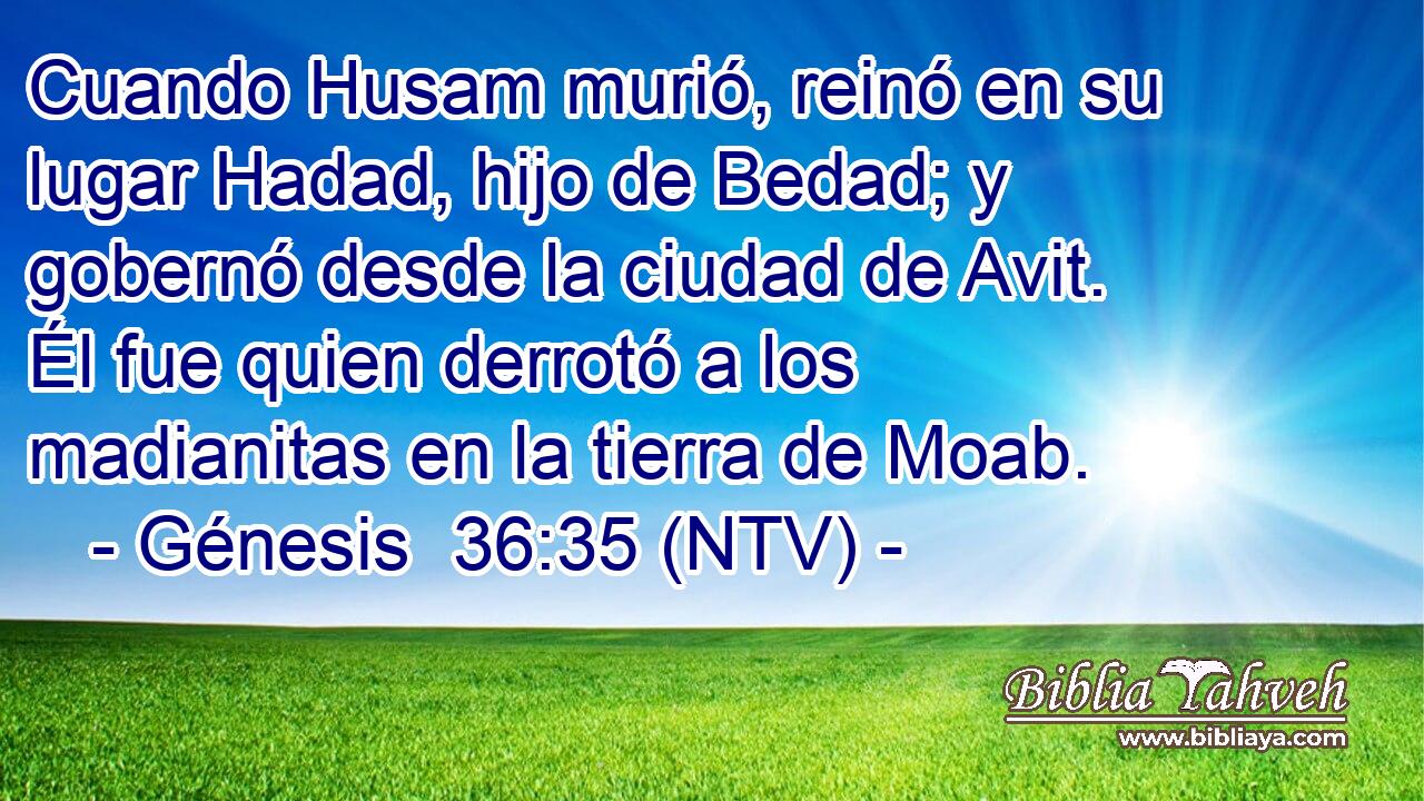 Cuando Husam murió, reinó en su lugar Hadad, hijo de Bedad; y gobernó desde la ciudad de Avit. Él fue quien derrotó a los madianitas en la tierra de Moab.