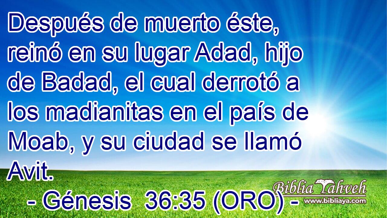  Después de muerto éste, reinó en su lugar Adad, hijo de Badad, el cual derrotó a los madianitas en el país de Moab, y su ciudad se llamó Avit. 