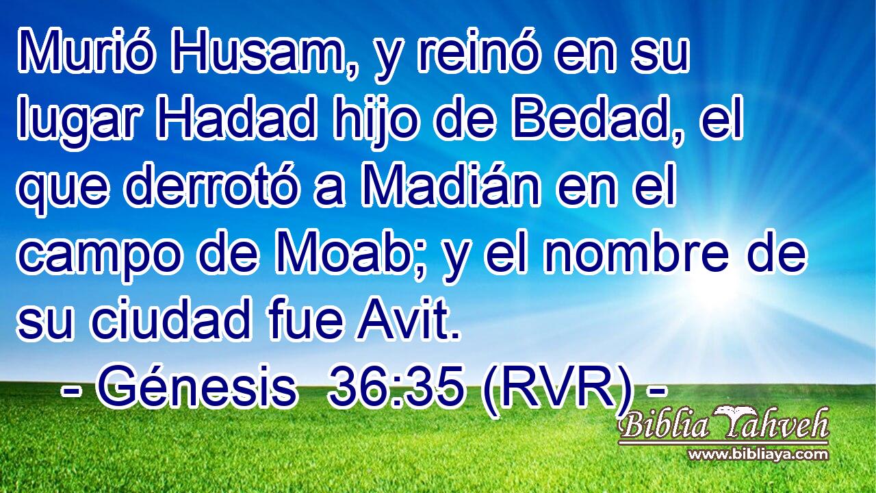 Murió Husam, y reinó en su lugar Hadad hijo de Bedad, el que derrotó a Madián en el campo de Moab; y el nombre de su ciudad fue Avit.