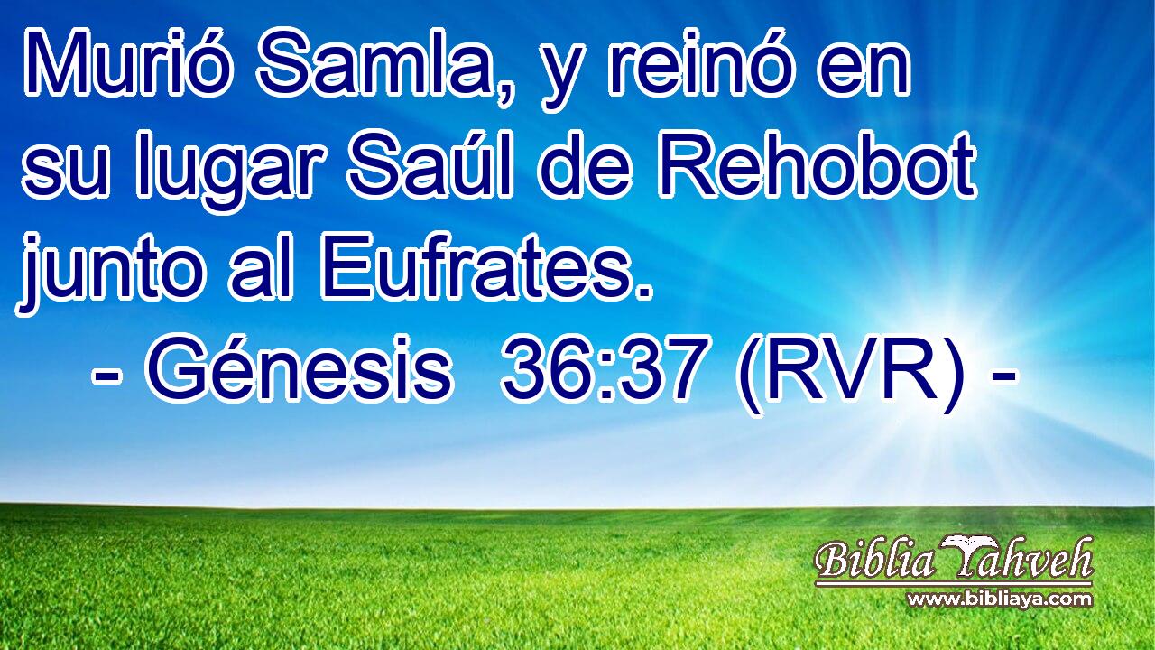 Murió Samla, y reinó en su lugar Saúl de Rehobot junto al Eufrates.