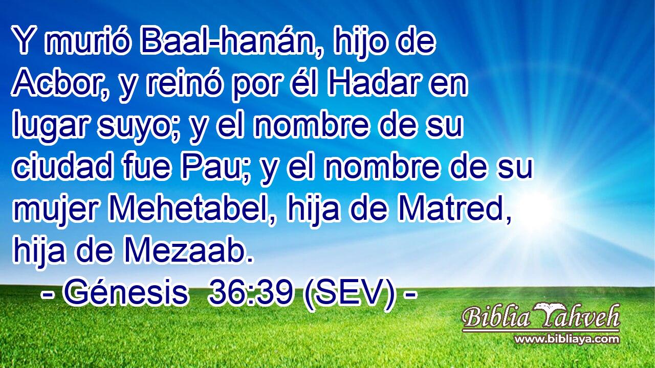 Y murió Baal-hanán, hijo de Acbor, y reinó por él Hadar en lugar suyo; y el nombre de su ciudad fue Pau; y el nombre de su mujer Mehetabel, hija de Matred, hija de Mezaab.