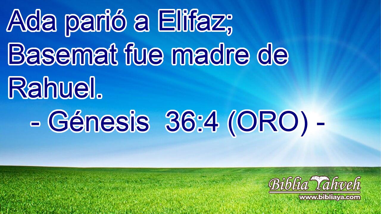  Ada parió a Elifaz; Basemat fue madre de Rahuel. 