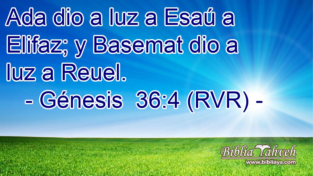 Ada dio a luz a Esaú a Elifaz; y Basemat dio a luz a Reuel.