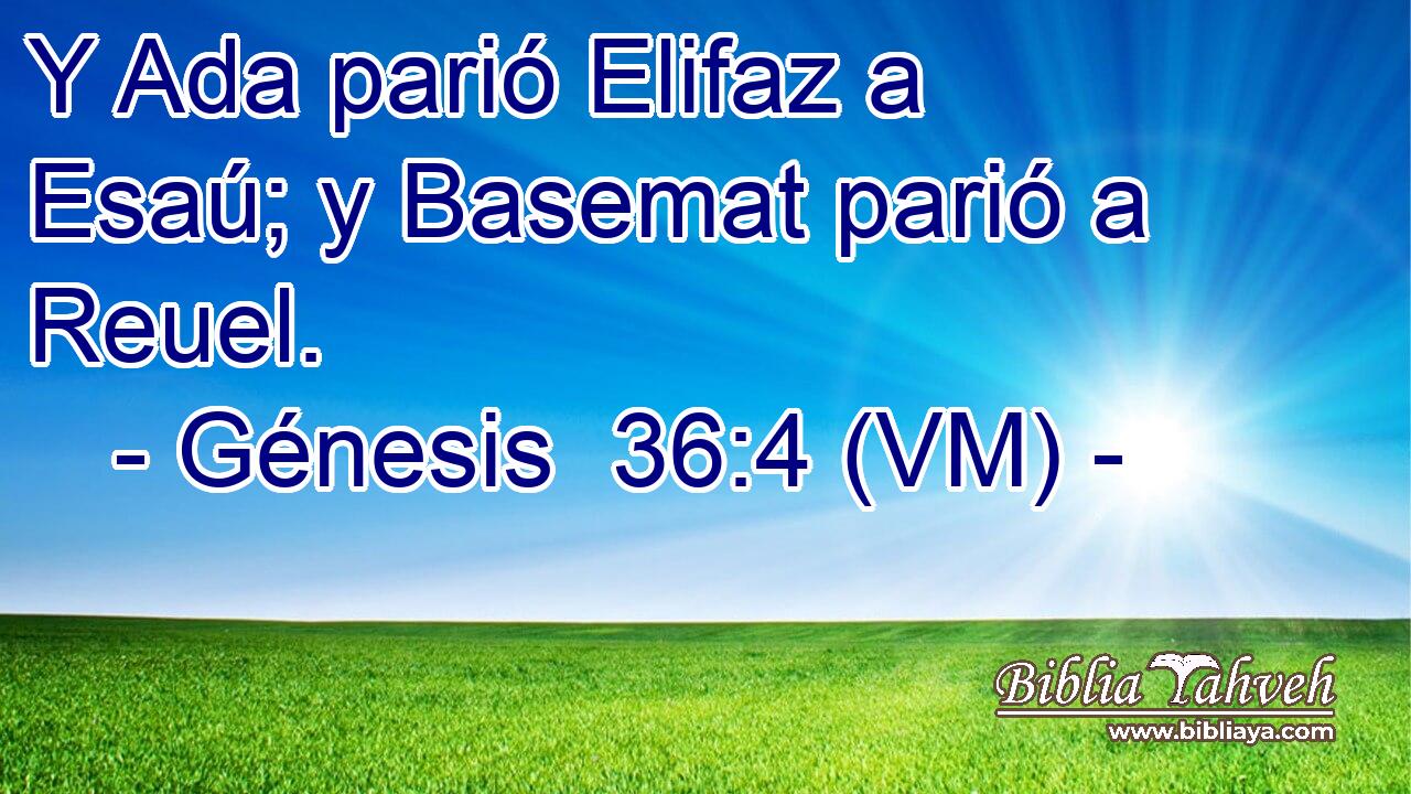  Y Ada parió Elifaz a Esaú; y Basemat parió a Reuel. 