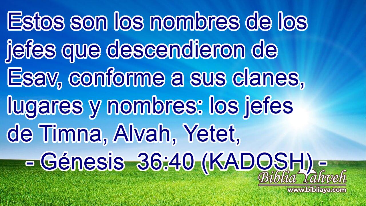  Estos son los nombres de los jefes que descendieron de Esav, conforme a sus clanes, lugares y nombres: los jefes de Timna, Alvah, Yetet, 
