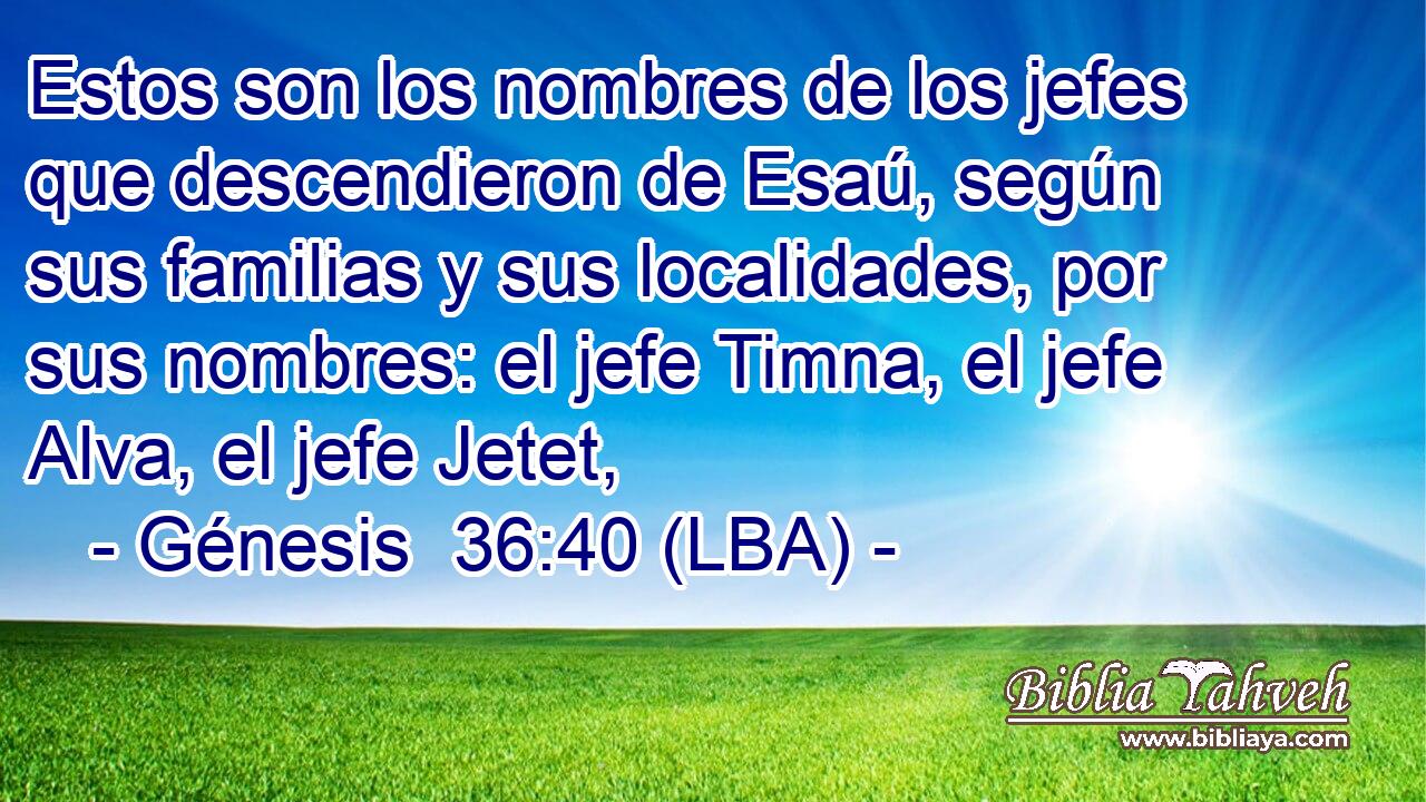 Estos son los nombres de los jefes que descendieron de Esaú, según sus familias y sus localidades, por sus nombres: el jefe Timna, el jefe Alva, el jefe Jetet,
