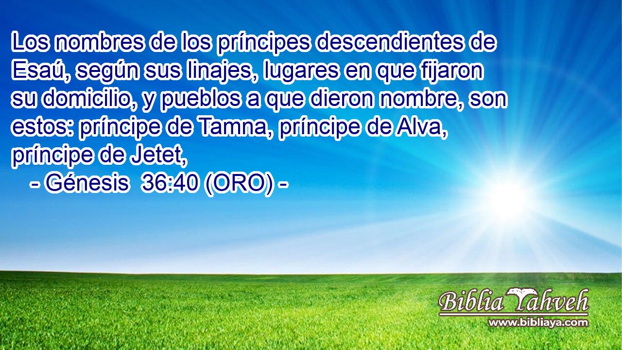  Los nombres de los príncipes descendientes de Esaú, según sus linajes, lugares en que fijaron su domicilio, y pueblos a que dieron nombre, son estos: príncipe de Tamna, príncipe de Alva, príncipe de Jetet, 