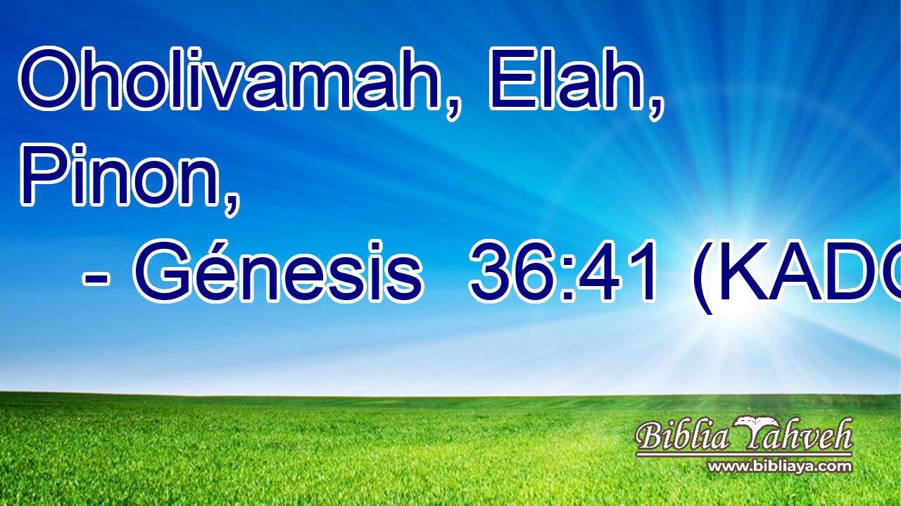  Oholivamah, Elah, Pinon, 