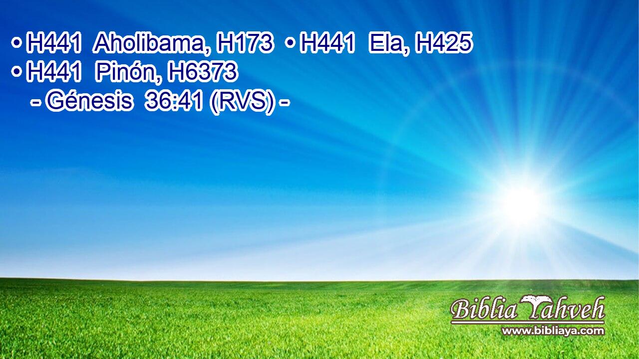 • H441  Aholibama, H173  • H441  Ela, H425  • H441  Pinón, H6373  