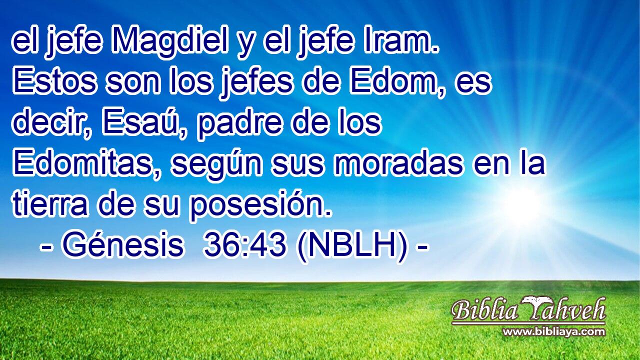  el jefe Magdiel y el jefe Iram. Estos son los jefes de Edom, es decir, Esaú, padre de los Edomitas, según sus moradas en la tierra de su posesión. 