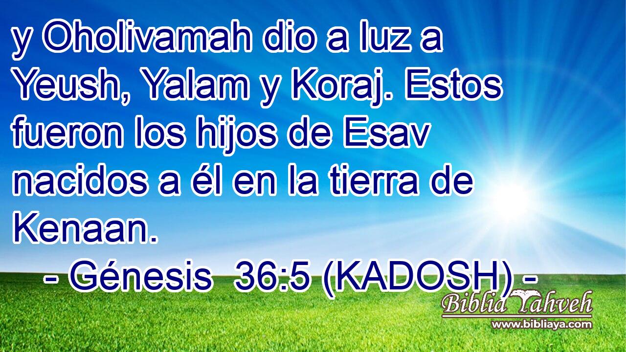  y Oholivamah dio a luz a Yeush, Yalam y Koraj. Estos fueron los hijos de Esav nacidos a él en la tierra de Kenaan. 