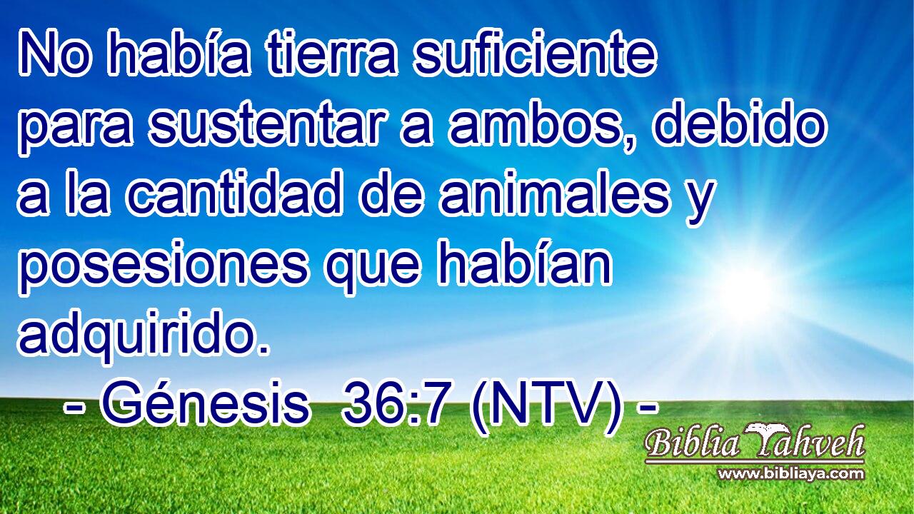 No había tierra suficiente para sustentar a ambos, debido a la cantidad de animales y posesiones que habían adquirido.