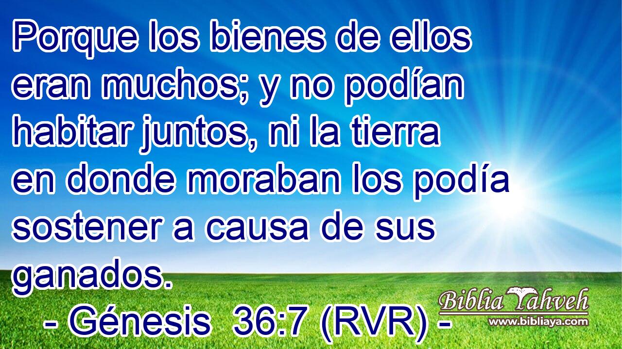 Porque los bienes de ellos eran muchos; y no podían habitar juntos, ni la tierra en donde moraban los podía sostener a causa de sus ganados.