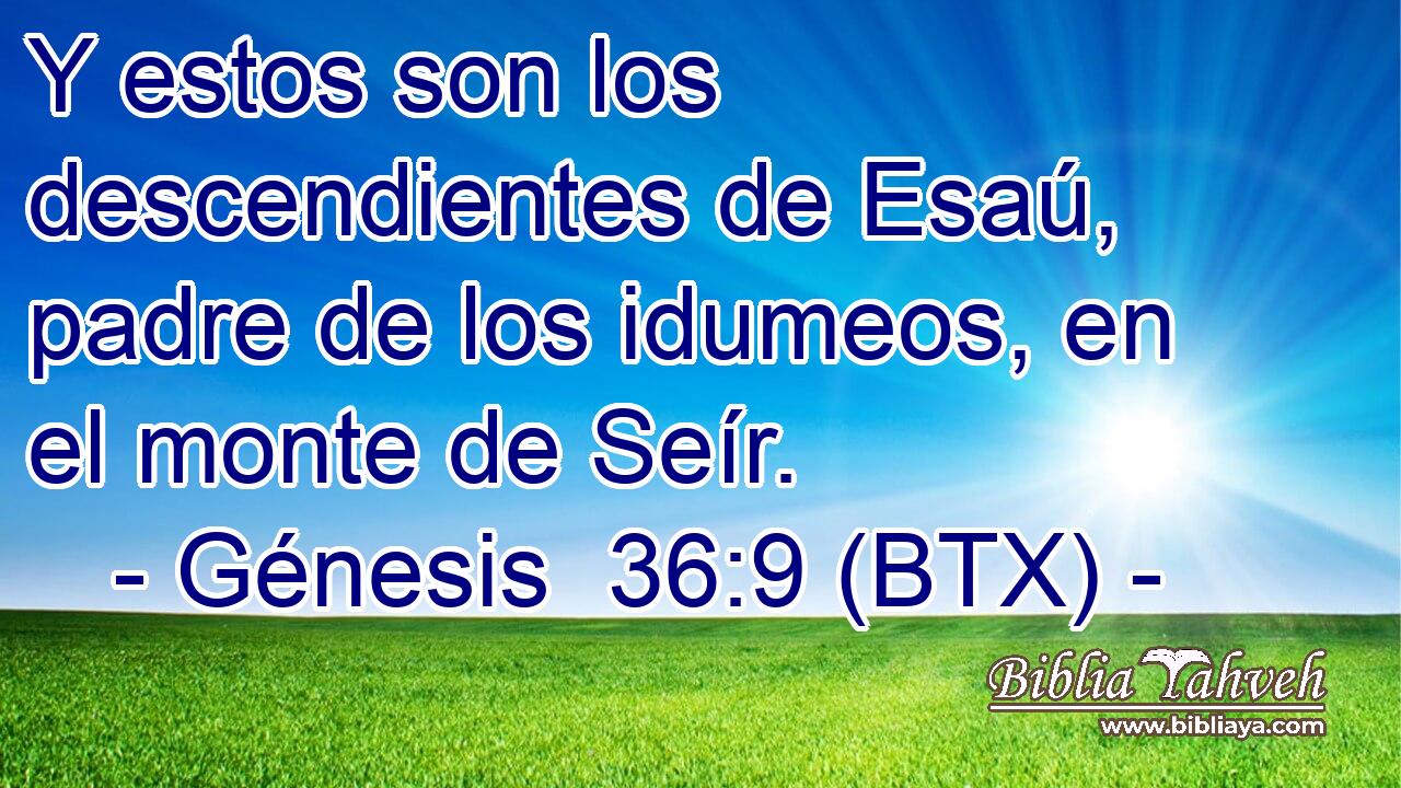 Y estos son los descendientes de Esaú, padre de los idumeos, en el monte de Seír.