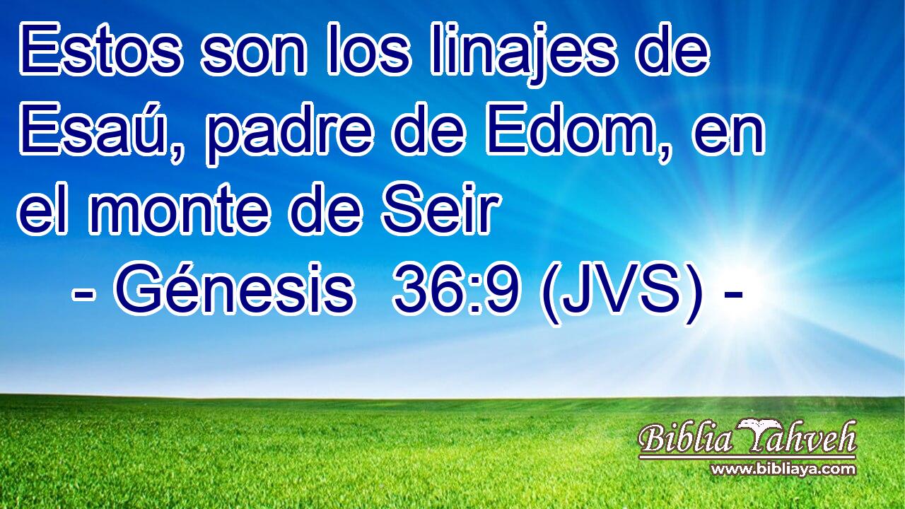 Estos son los linajes de Esaú, padre de Edom, en el monte de Seir