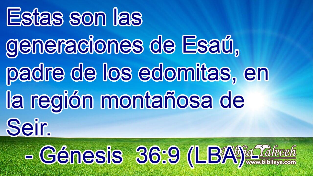 Estas son las generaciones de Esaú, padre de los edomitas, en la región montañosa de Seir.