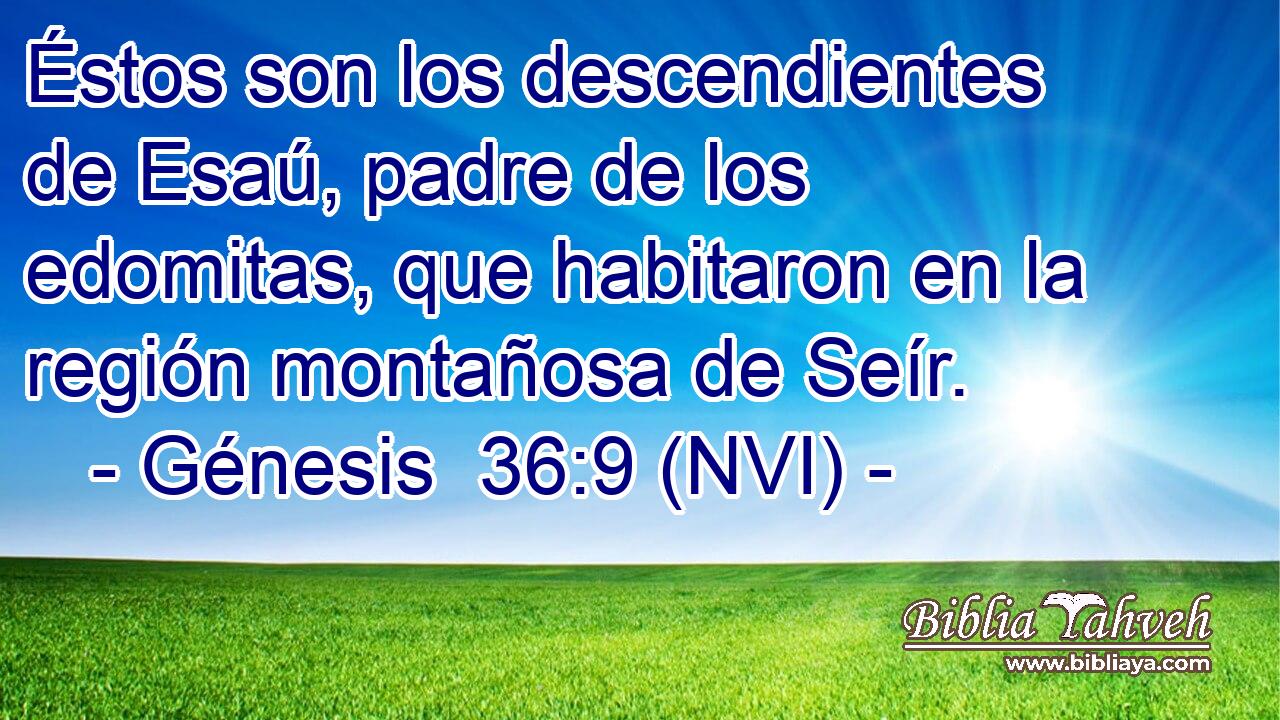  Éstos son los descendientes de Esaú, padre de los edomitas, que habitaron en la región montañosa de Seír. 