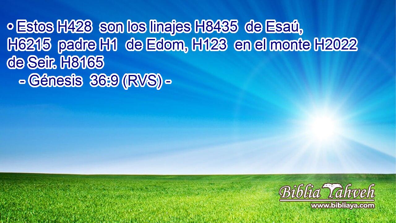 • Estos H428  son los linajes H8435  de Esaú, H6215  padre H1  de Edom, H123  en el monte H2022  de Seir. H8165  