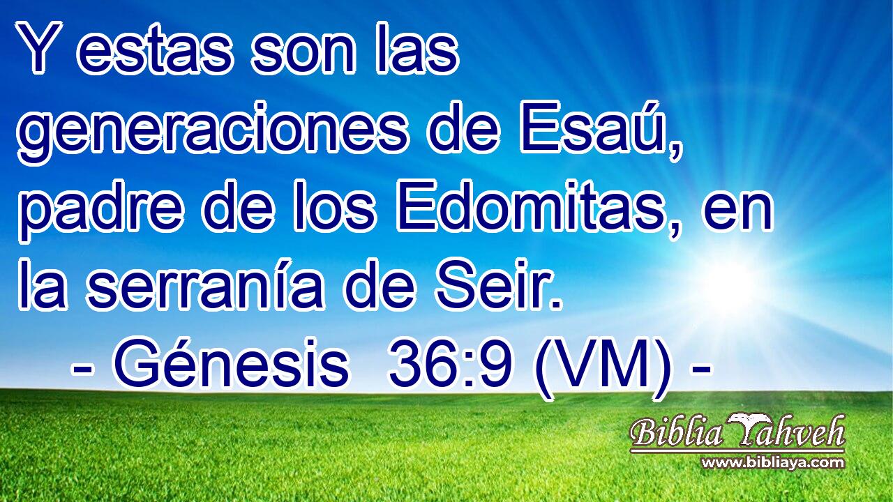  Y estas son las generaciones de Esaú, padre de los Edomitas, en la serranía de Seir. 