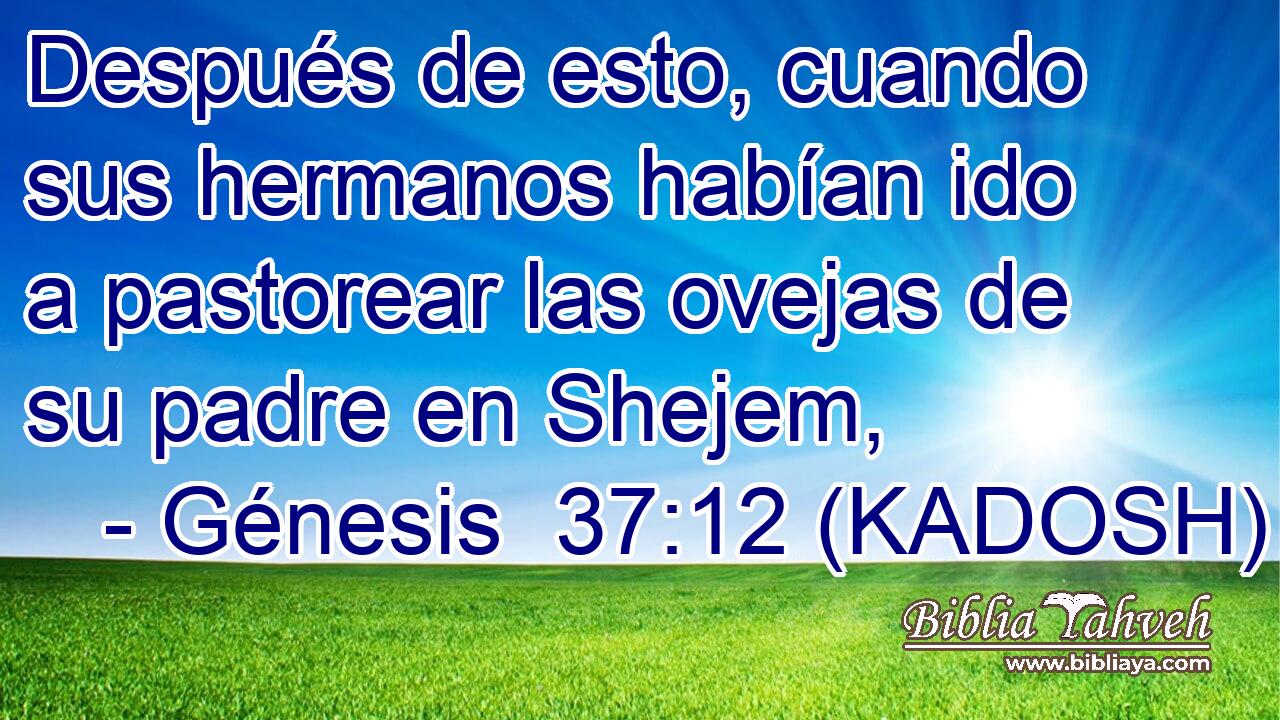  Después de esto, cuando sus hermanos habían ido a pastorear las ovejas de su padre en Shejem, 