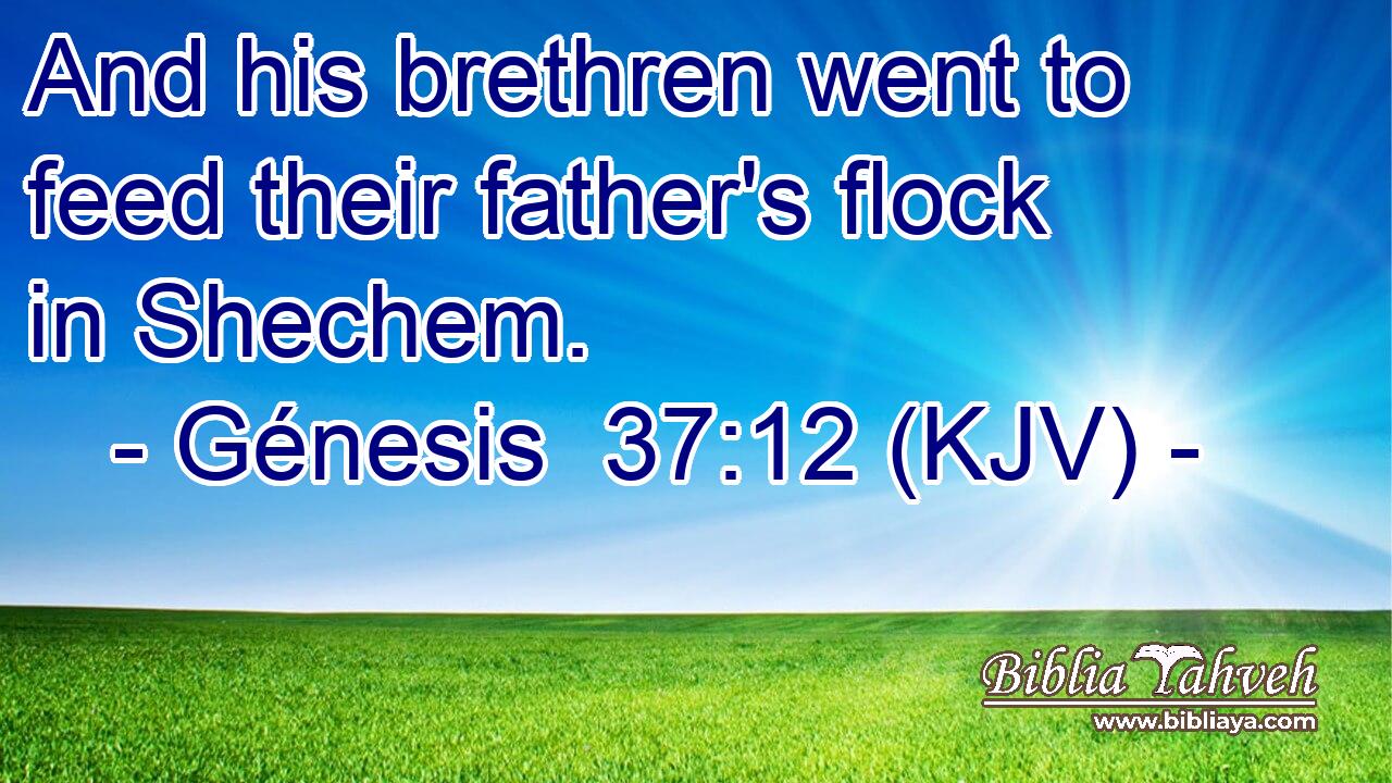 And his brethren went to feed their father's flock in Shechem.