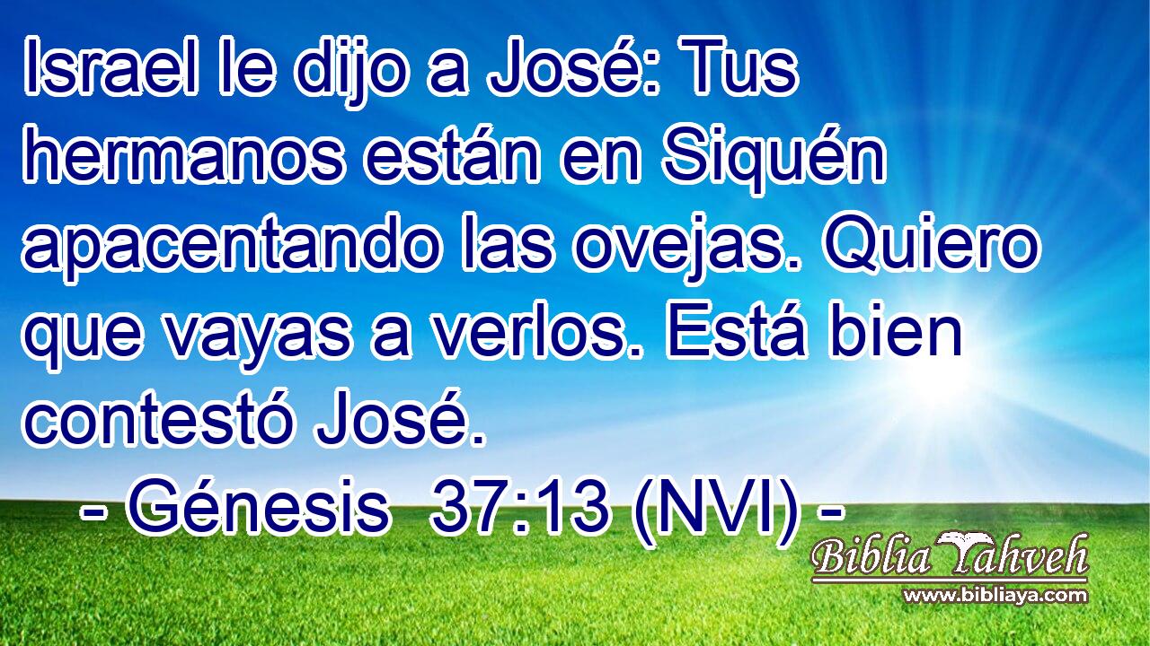  Israel le dijo a José: Tus hermanos están en Siquén apacentando las ovejas. Quiero que vayas a verlos. Está bien contestó José. 