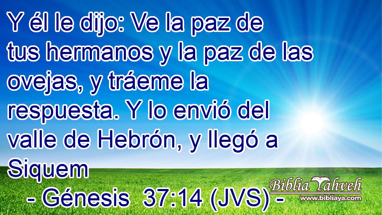 Y él le dijo: Ve la paz de tus hermanos y la paz de las ovejas, y tráeme la respuesta. Y lo envió del valle de Hebrón, y llegó a Siquem