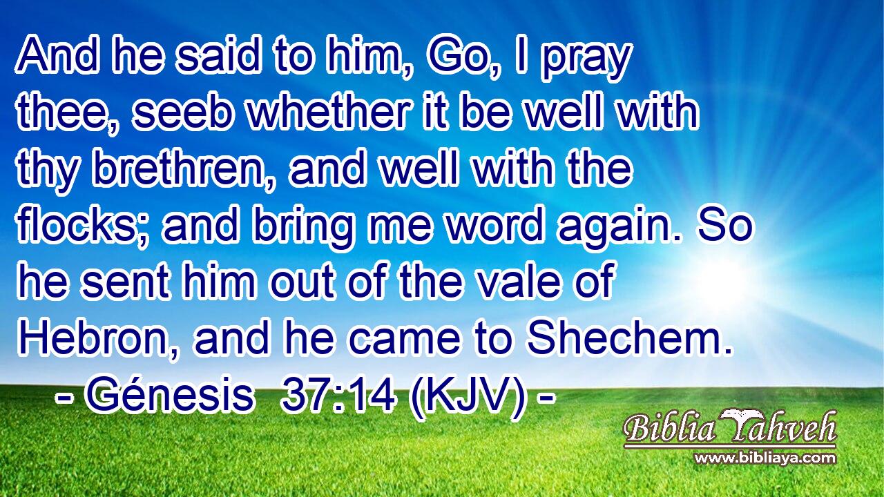 And he said to him, Go, I pray thee, seeb whether it be well with thy brethren, and well with the flocks; and bring me word again. So he sent him out of the vale of Hebron, and he came to Shechem.