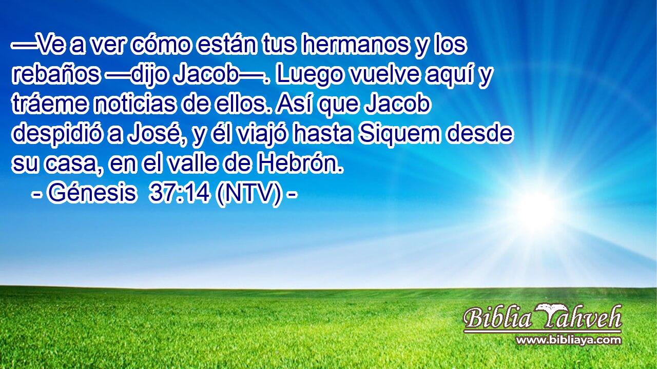 —Ve a ver cómo están tus hermanos y los rebaños —dijo Jacob—. Luego vuelve aquí y tráeme noticias de ellos. Así que Jacob despidió a José, y él viajó hasta Siquem desde su casa, en el valle de Hebrón.