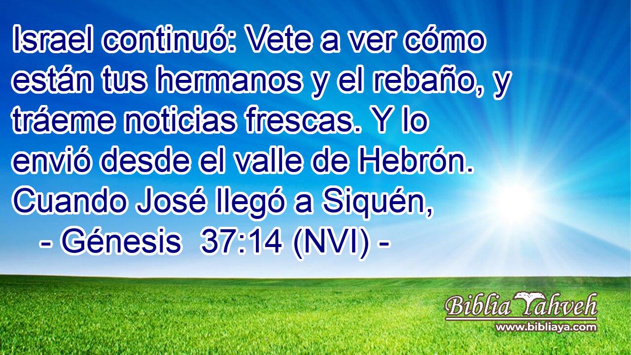  Israel continuó: Vete a ver cómo están tus hermanos y el rebaño, y tráeme noticias frescas. Y lo envió desde el valle de Hebrón. Cuando José llegó a Siquén, 