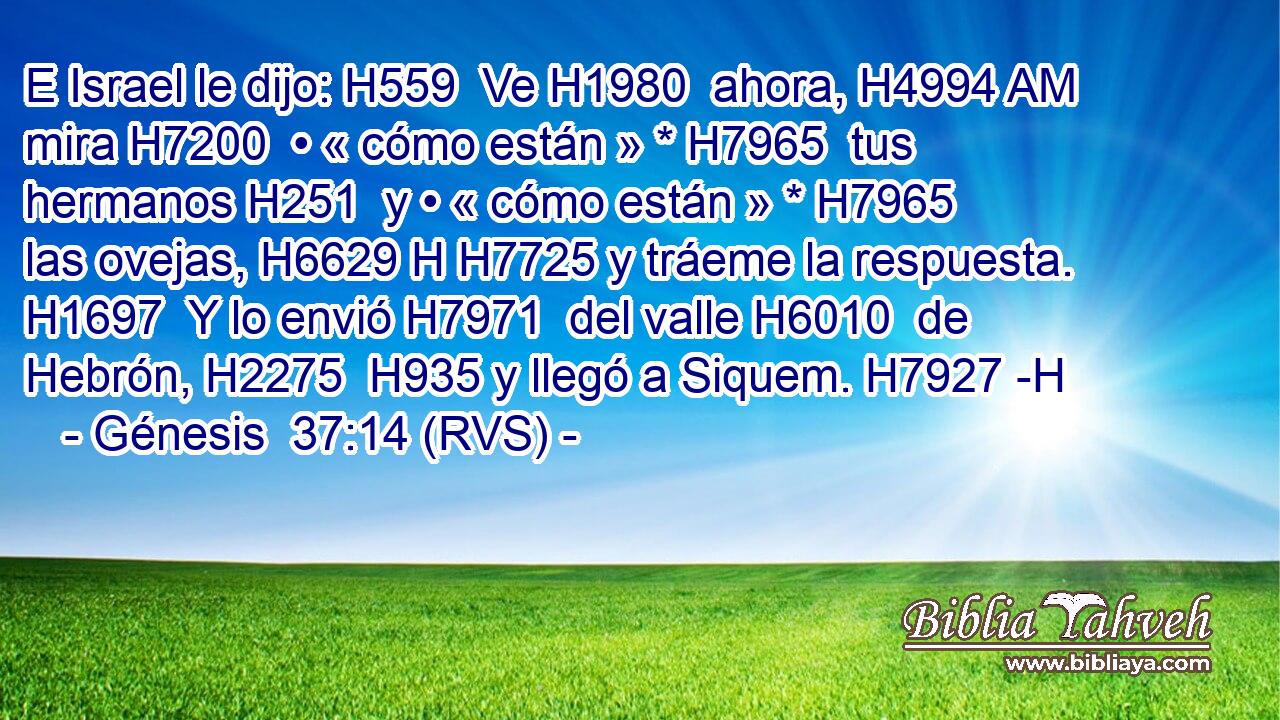 E Israel le dijo: H559  Ve H1980  ahora, H4994 AM mira H7200  • « cómo están » * H7965  tus hermanos H251  y • « cómo están » * H7965  las ovejas, H6629 H H7725 y tráeme la respuesta. H1697  Y lo envió H7971  del valle H6010  de Hebrón, H2275  H935 y llegó a Siquem. H7927 -H 