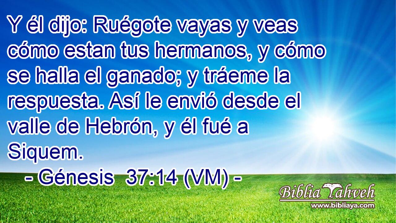  Y él dijo: Ruégote vayas y veas cómo estan tus hermanos, y cómo se halla el ganado; y tráeme la respuesta. Así le envió desde el valle de Hebrón, y él fué a Siquem. 