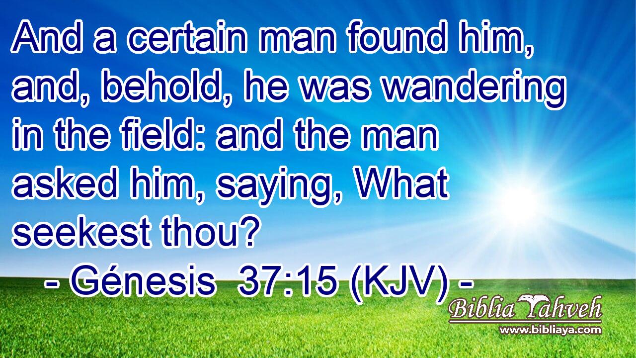 And a certain man found him, and, behold, he was wandering in the field: and the man asked him, saying, What seekest thou?