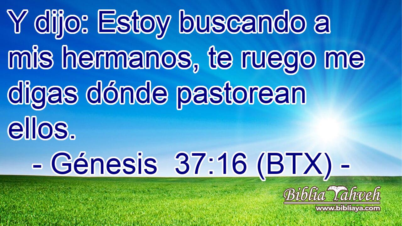 Y dijo: Estoy buscando a mis hermanos, te ruego me digas dónde pastorean ellos.