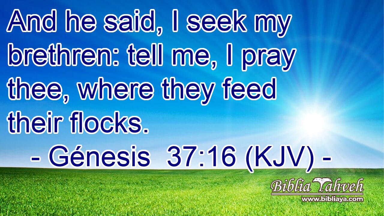 And he said, I seek my brethren: tell me, I pray thee, where they feed their flocks.