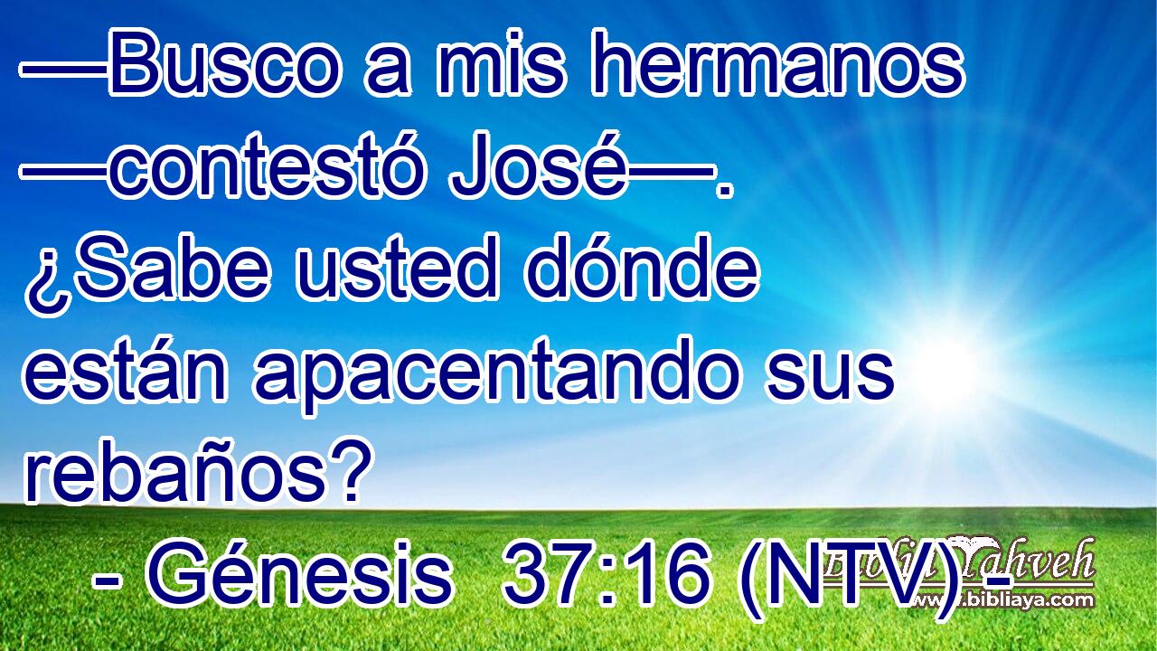 —Busco a mis hermanos —contestó José—. ¿Sabe usted dónde están apacentando sus rebaños?