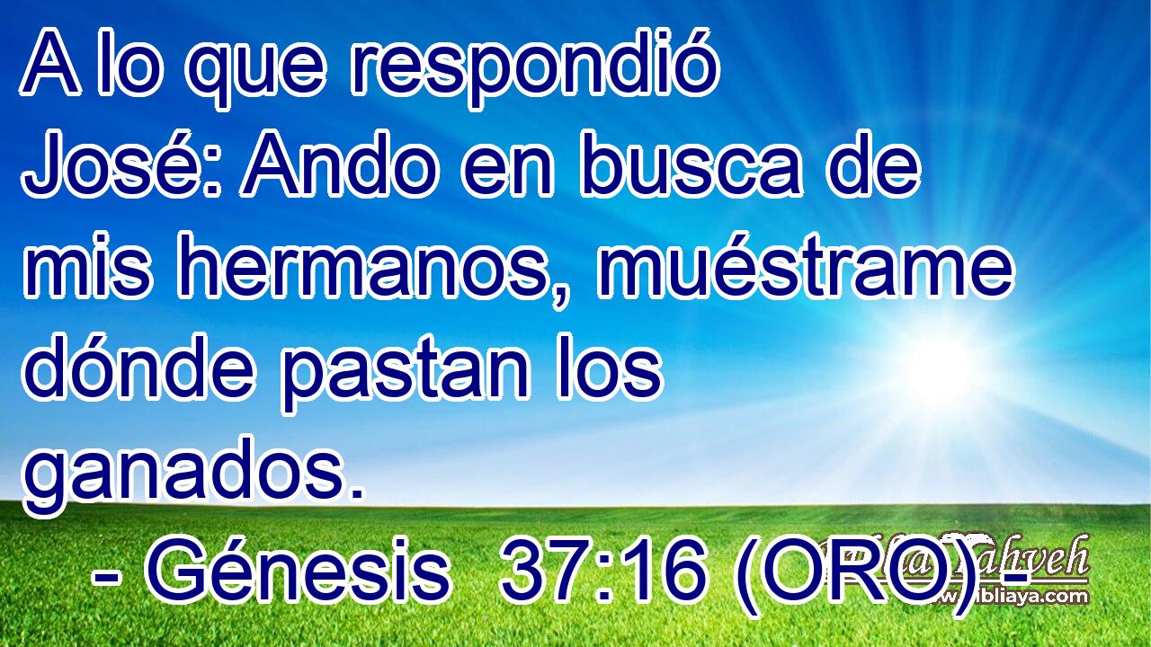  A lo que respondió José: Ando en busca de mis hermanos, muéstrame dónde pastan los ganados. 