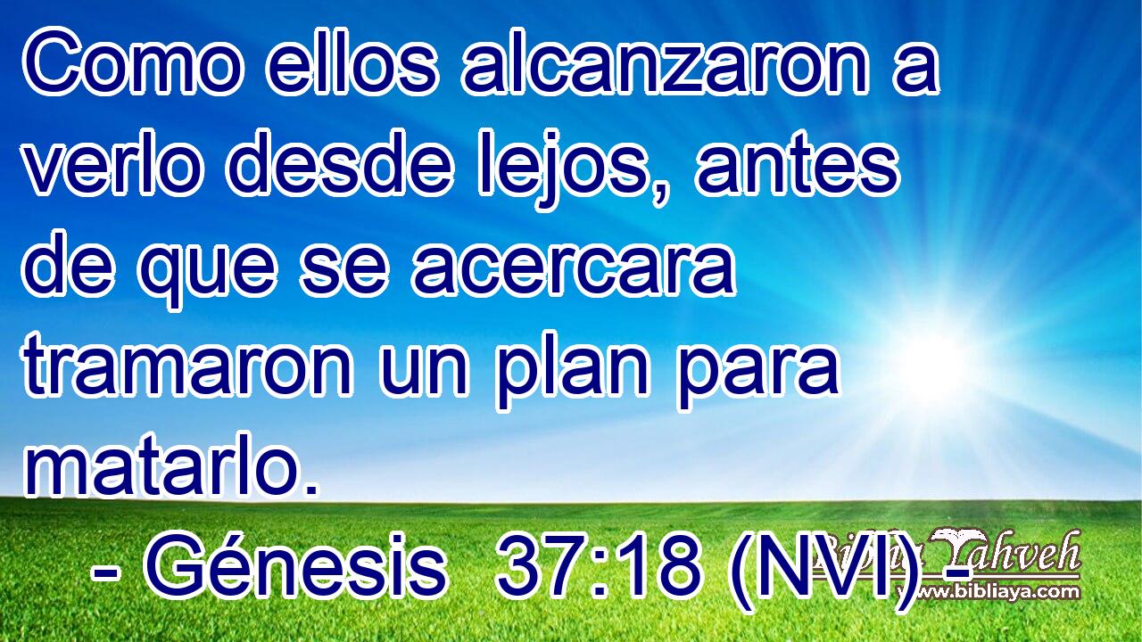  Como ellos alcanzaron a verlo desde lejos, antes de que se acercara tramaron un plan para matarlo. 