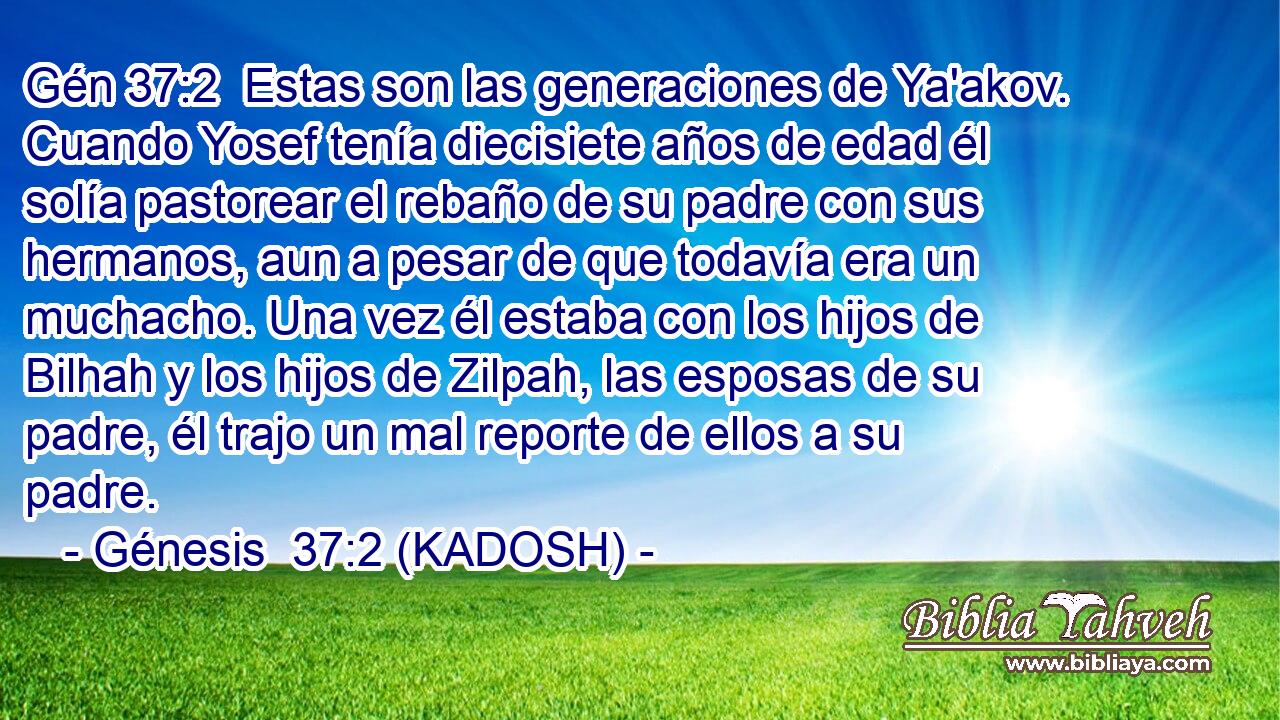  Estas son las generaciones de Ya'akov. Cuando Yosef tenía diecisiete años de edad él solía pastorear el rebaño de su padre con sus hermanos, aun a pesar de que todavía era un muchacho. Una vez él estaba con los hijos de Bilhah y los hijos de Zilpah, las esposas de su padre, él trajo un mal reporte de ellos a su padre. 