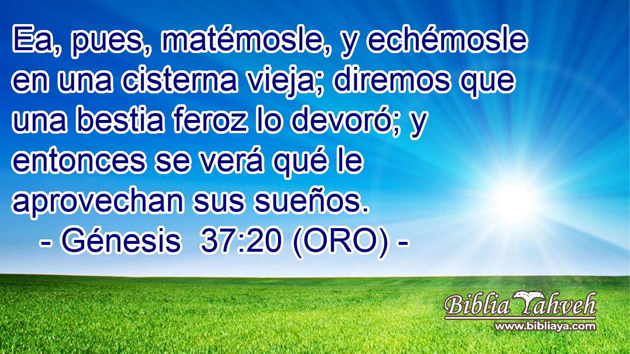  Ea, pues, matémosle, y echémosle en una cisterna vieja; diremos que una bestia feroz lo devoró; y entonces se verá qué le aprovechan sus sueños. 