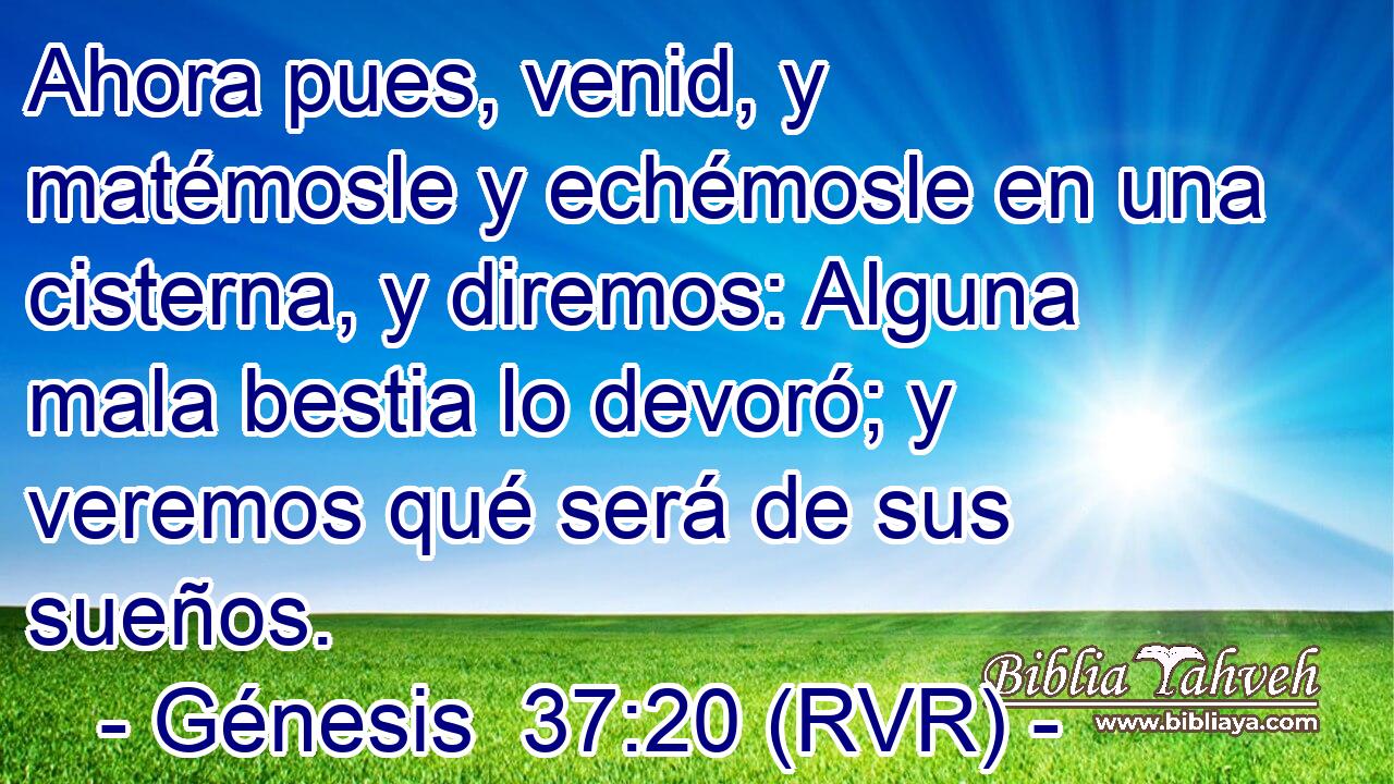 Ahora pues, venid, y matémosle y echémosle en una cisterna, y diremos: Alguna mala bestia lo devoró; y veremos qué será de sus sueños.