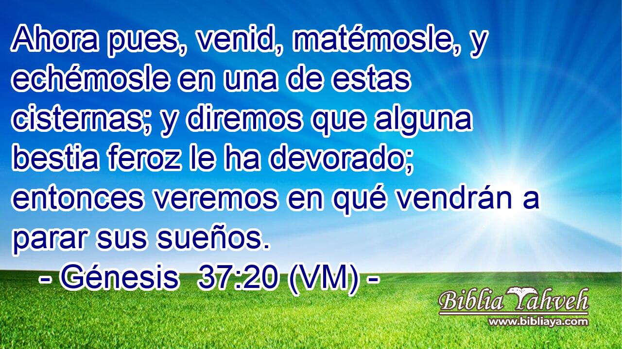  Ahora pues, venid, matémosle, y echémosle en una de estas cisternas; y diremos que alguna bestia feroz le ha devorado; entonces veremos en qué vendrán a parar sus sueños. 