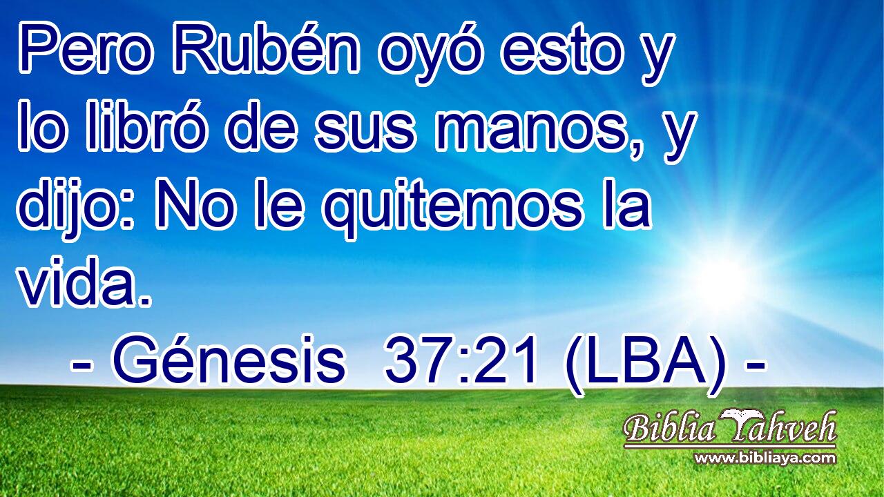 Pero Rubén oyó esto y lo libró de sus manos, y dijo: No le quitemos la vida.