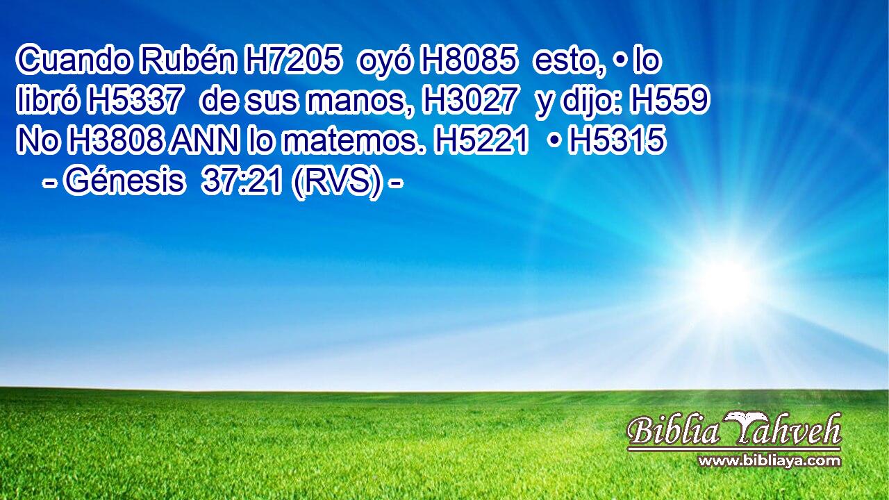 Cuando Rubén H7205  oyó H8085  esto, • lo libró H5337  de sus manos, H3027  y dijo: H559  No H3808 ANN lo matemos. H5221  • H5315  