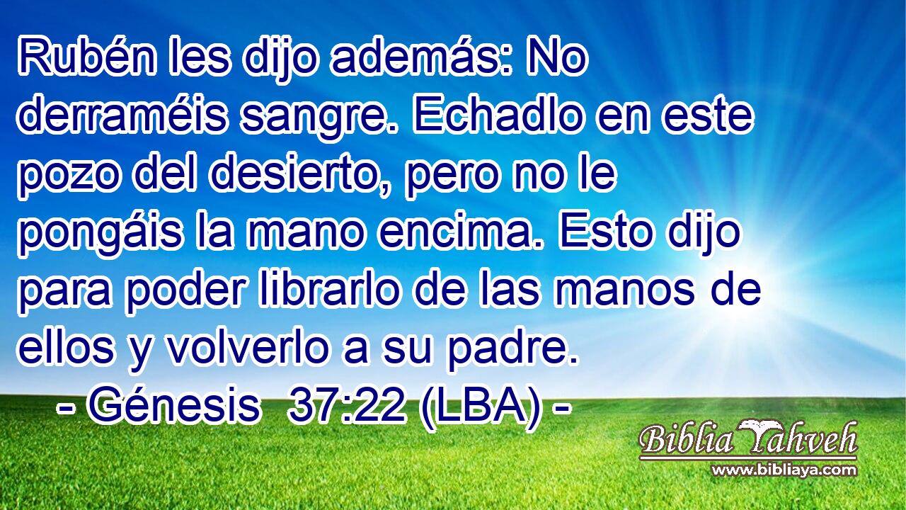Rubén les dijo además: No derraméis sangre. Echadlo en este pozo del desierto, pero no le pongáis la mano encima. Esto dijo para poder librarlo de las manos de ellos y volverlo a su padre.