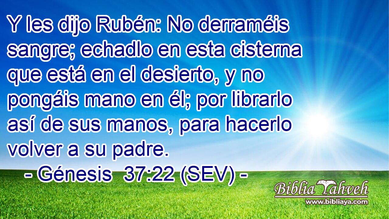 Y les dijo Rubén: No derraméis sangre; echadlo en esta cisterna que está en el desierto, y no pongáis mano en él; por librarlo así de sus manos, para hacerlo volver a su padre.