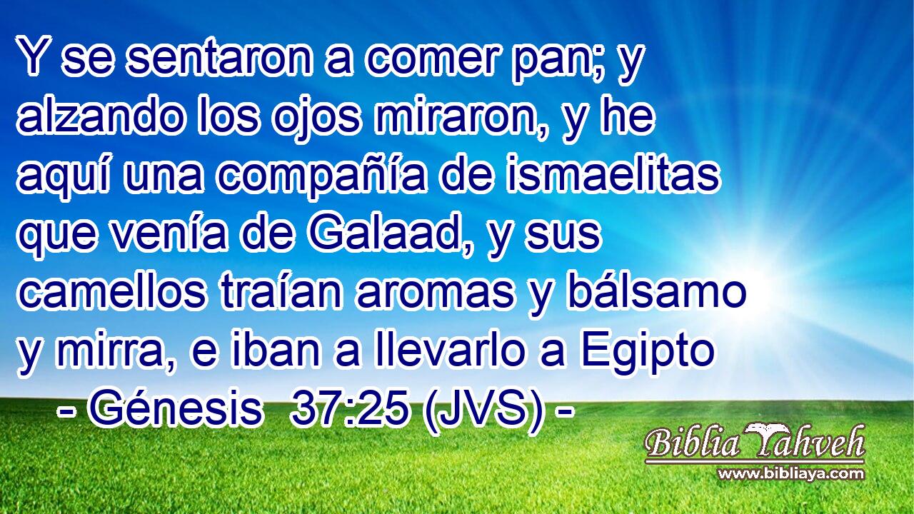 Y se sentaron a comer pan; y alzando los ojos miraron, y he aquí una compañía de ismaelitas que venía de Galaad, y sus camellos traían aromas y bálsamo y mirra, e iban a llevarlo a Egipto