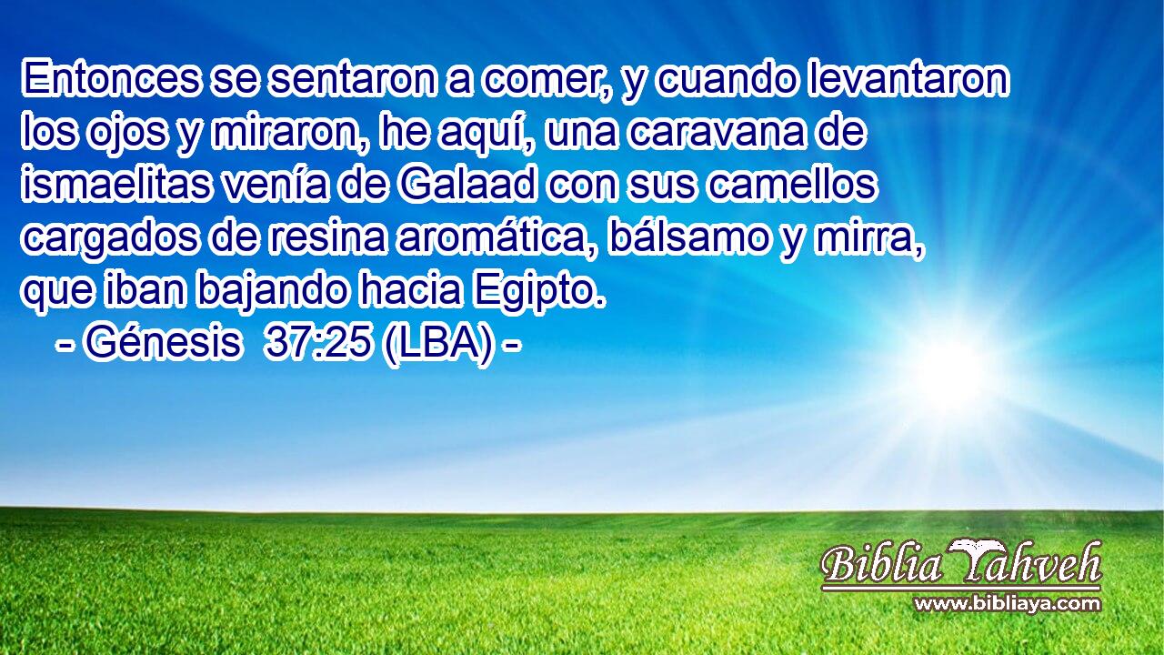 Entonces se sentaron a comer, y cuando levantaron los ojos y miraron, he aquí, una caravana de ismaelitas venía de Galaad con sus camellos cargados de resina aromática, bálsamo y mirra, que iban bajando hacia Egipto.